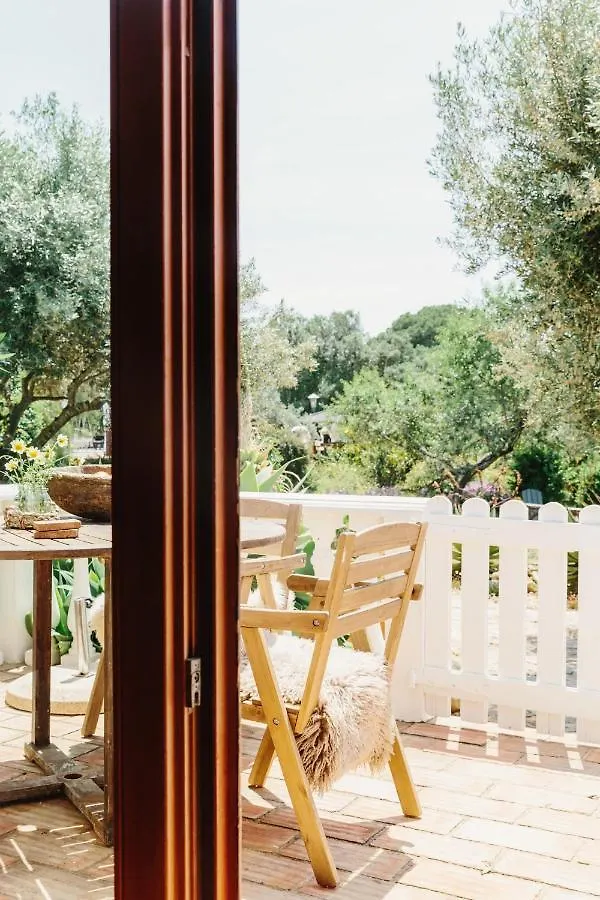 بيت للعطل فيلا Quinta Bohemia مونكاراباشو البرتغال